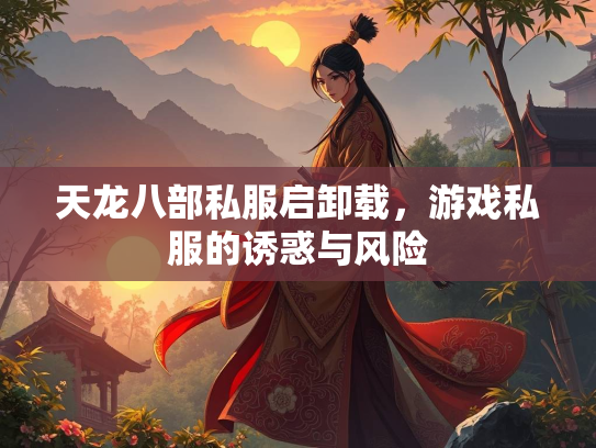 天龙八部私服启卸载，游戏私服的诱惑与风险  第2张