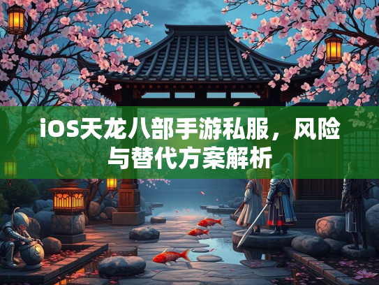 iOS天龙八部手游私服，风险与替代方案解析  第2张