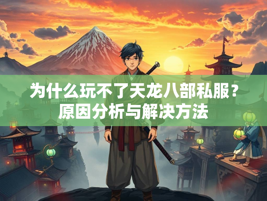 为什么玩不了天龙八部私服？原因分析与解决方法  第2张