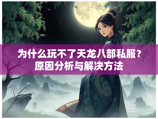 为什么玩不了天龙八部私服？原因分析与解决方法  第1张