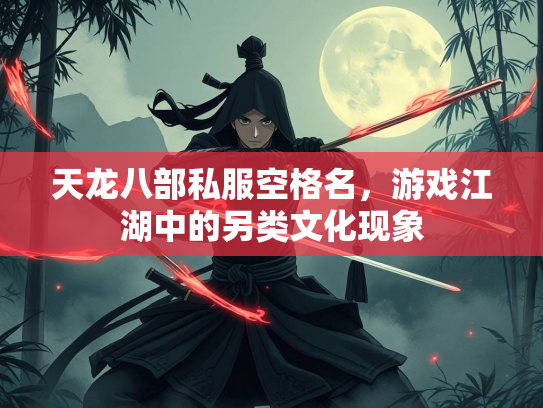 天龙八部私服空格名，游戏江湖中的另类文化现象  第2张