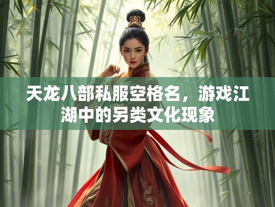 天龙八部私服空格名，游戏江湖中的另类文化现象  第3张