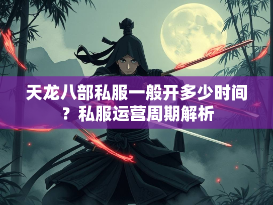 天龙八部私服一般开多少时间？私服运营周期解析  第2张
