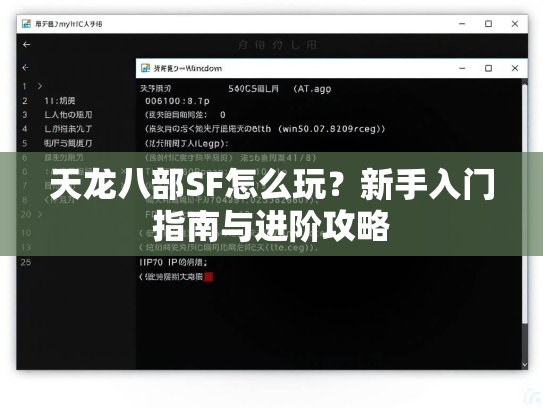 天龙八部SF怎么玩？新手入门指南与进阶攻略  第2张