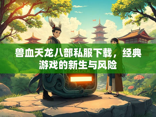 兽血天龙八部私服下载，经典游戏的新生与风险  第3张