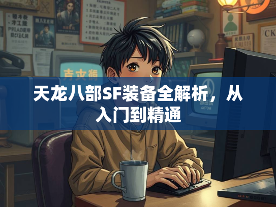 天龙八部SF装备全解析，从入门到精通  第2张