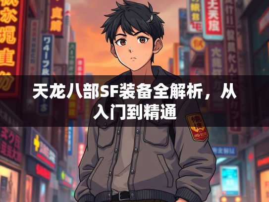 天龙八部SF装备全解析，从入门到精通  第1张
