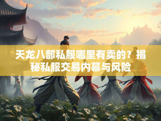 天龙八部私服哪里有卖的？揭秘私服交易内幕与风险  第3张