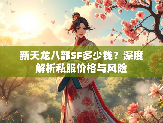 新天龙八部SF多少钱？深度解析私服价格与风险  第3张