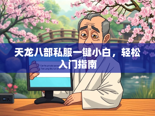 天龙八部私服一键小白，轻松入门指南  第2张
