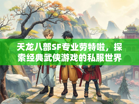 天龙八部SF专业劳特啦，探索经典武侠游戏的私服世界  第2张