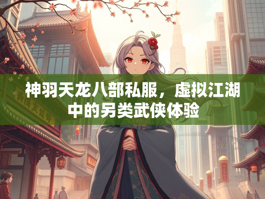 神羽天龙八部私服，虚拟江湖中的另类武侠体验  第1张