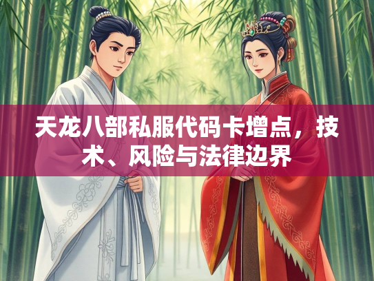 天龙八部私服代码卡增点，技术、风险与法律边界  第1张