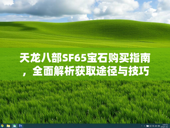 天龙八部SF65宝石购买指南，全面解析获取途径与技巧  第2张