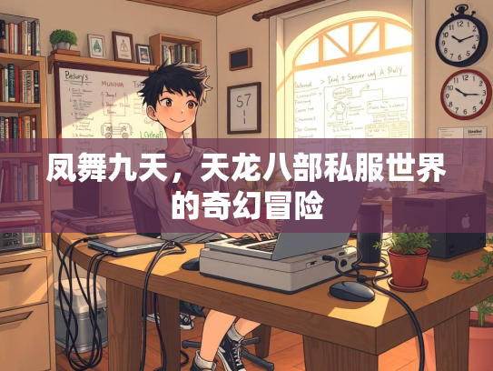 凤舞九天，天龙八部私服世界的奇幻冒险  第2张