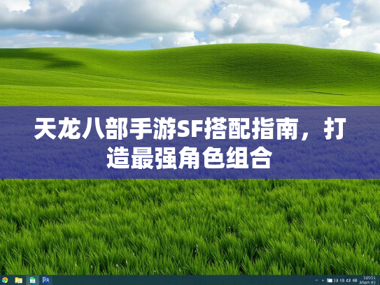 天龙八部手游SF搭配指南，打造最强角色组合  第3张