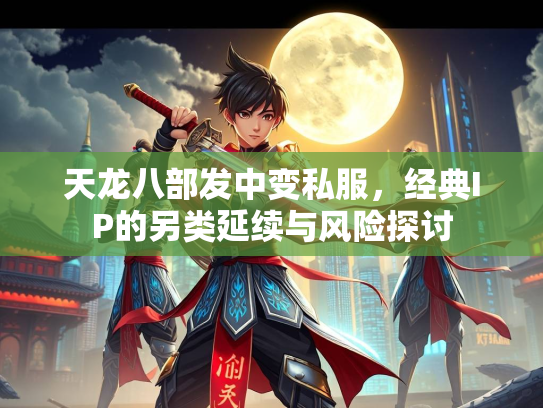 天龙八部发中变私服，经典IP的另类延续与风险探讨  第2张