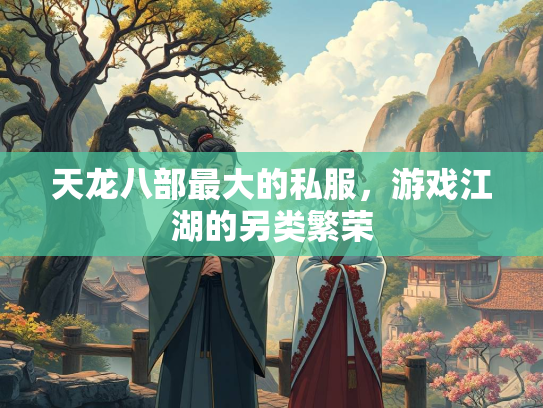 天龙八部最大的私服，游戏江湖的另类繁荣  第3张