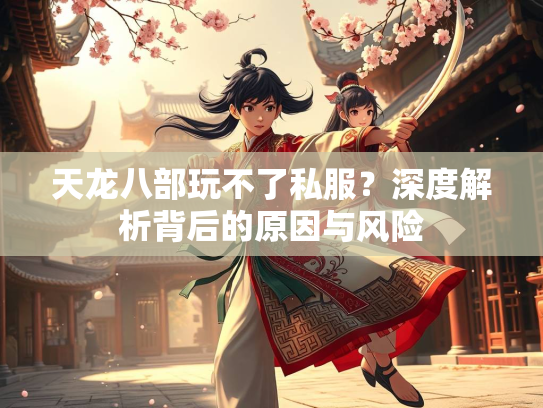 天龙八部玩不了私服？深度解析背后的原因与风险  第2张