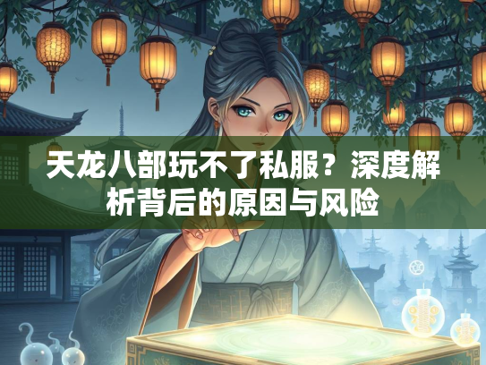 天龙八部玩不了私服？深度解析背后的原因与风险  第1张