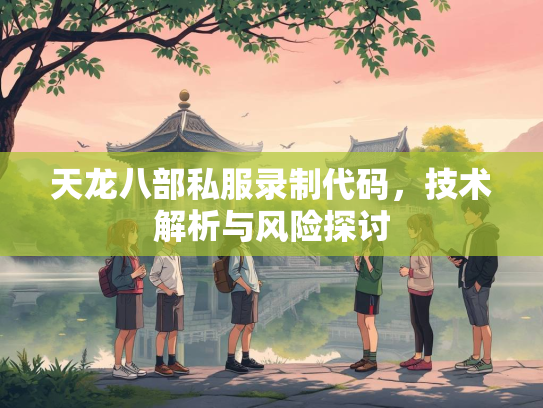天龙八部私服录制代码，技术解析与风险探讨  第2张