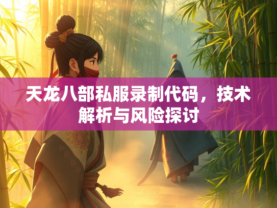 天龙八部私服录制代码，技术解析与风险探讨  第3张