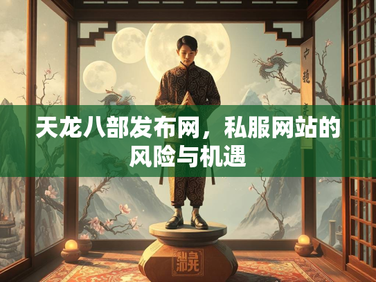 天龙八部发布网，私服网站的风险与机遇  第2张