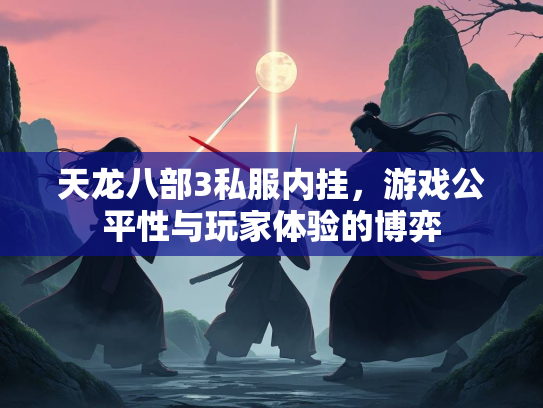 天龙八部3私服内挂，游戏公平性与玩家体验的博弈  第3张