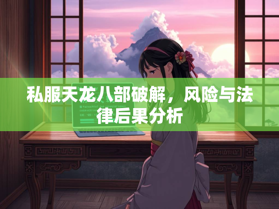 私服天龙八部破解，风险与法律后果分析  第3张