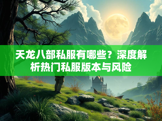 天龙八部私服有哪些？深度解析热门私服版本与风险  第2张