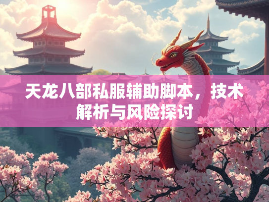 天龙八部私服辅助脚本，技术解析与风险探讨  第2张