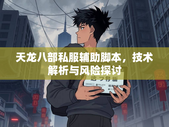天龙八部私服辅助脚本，技术解析与风险探讨  第1张