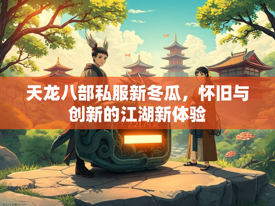 天龙八部私服新冬瓜，怀旧与创新的江湖新体验  第2张