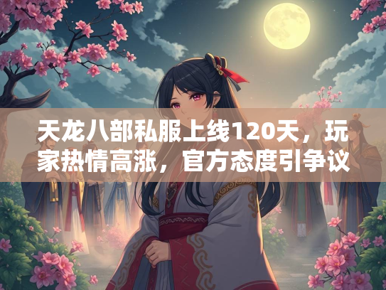 天龙八部私服上线120天，玩家热情高涨，官方态度引争议  第2张