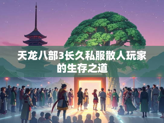 天龙八部3长久私服散人玩家的生存之道  第3张