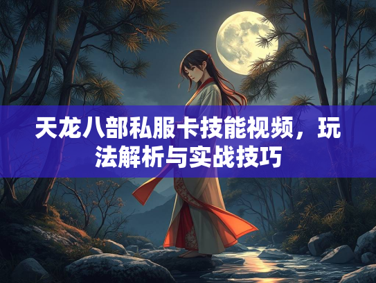 天龙八部私服卡技能视频，玩法解析与实战技巧  第1张