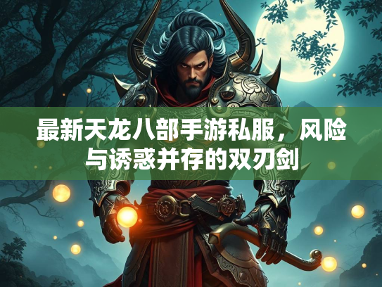 最新天龙八部手游私服，风险与诱惑并存的双刃剑  第2张