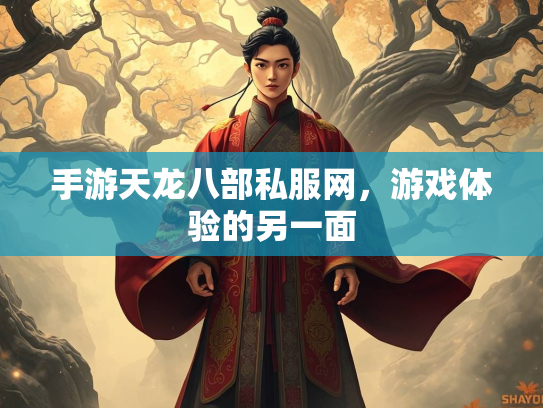 手游天龙八部私服网，游戏体验的另一面  第2张