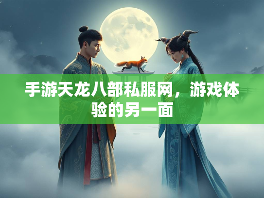 手游天龙八部私服网，游戏体验的另一面  第1张