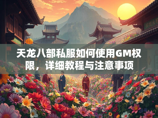 天龙八部私服如何使用GM权限，详细教程与注意事项