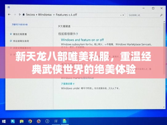 新天龙八部唯美私服，重温经典武侠世界的绝美体验  第2张