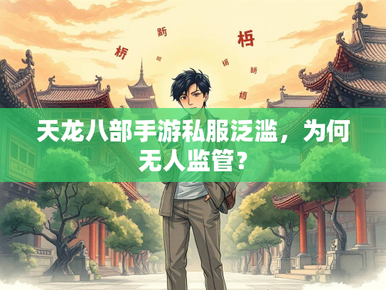 天龙八部手游私服泛滥，为何无人监管？  第2张