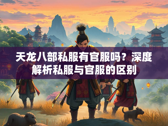 天龙八部私服有官服吗？深度解析私服与官服的区别  第1张