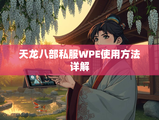 天龙八部私服WPE使用方法详解