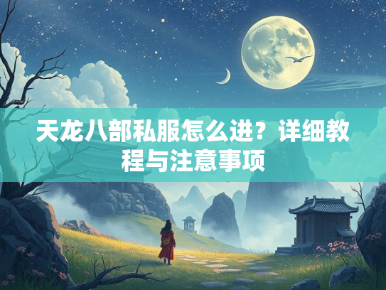 天龙八部私服怎么进？详细教程与注意事项  第1张
