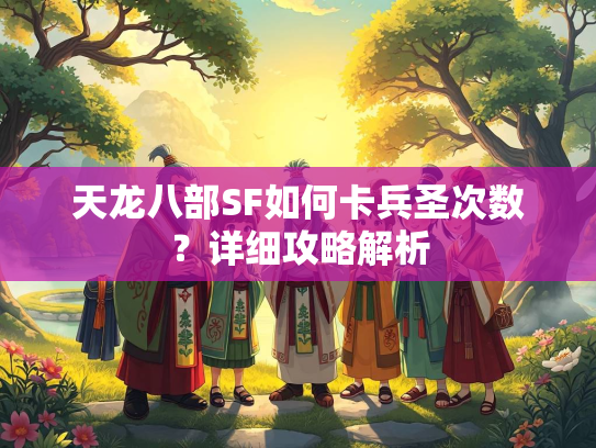 天龙八部SF如何卡兵圣次数？详细攻略解析  第2张