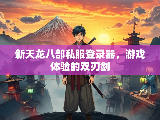 新天龙八部私服登录器，游戏体验的双刃剑