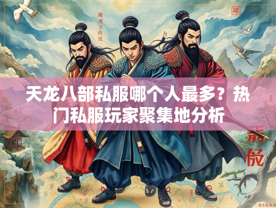 天龙八部私服哪个人最多？热门私服玩家聚集地分析  第2张