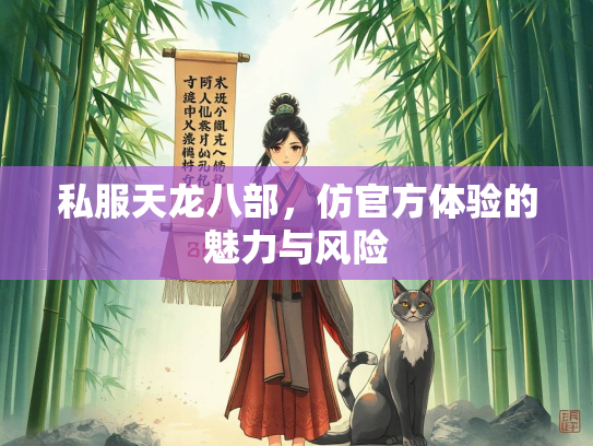 私服天龙八部，仿官方体验的魅力与风险  第3张
