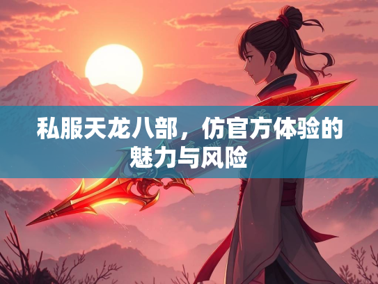 私服天龙八部，仿官方体验的魅力与风险  第1张
